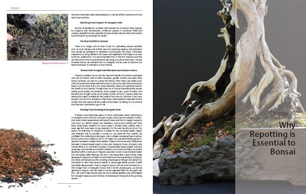 bonsai book